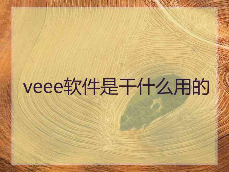 veee软件是干什么用的