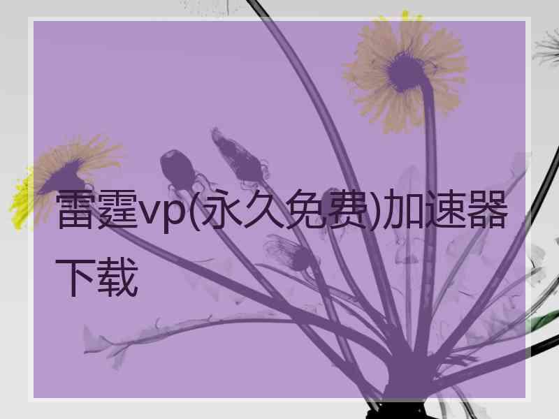 雷霆vp(永久免费)加速器下载