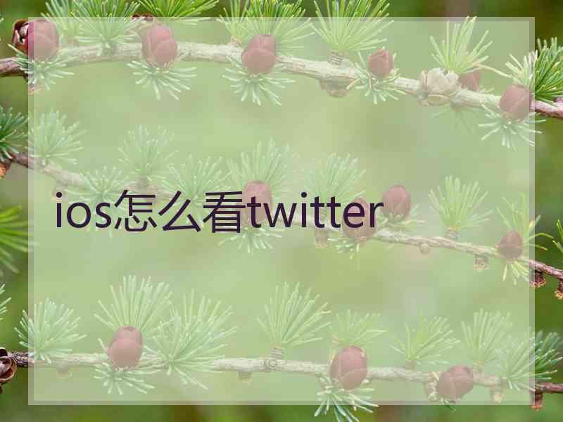 ios怎么看twitter