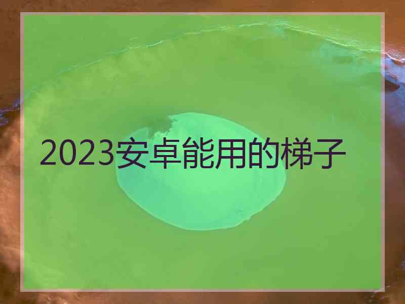 2023安卓能用的梯子