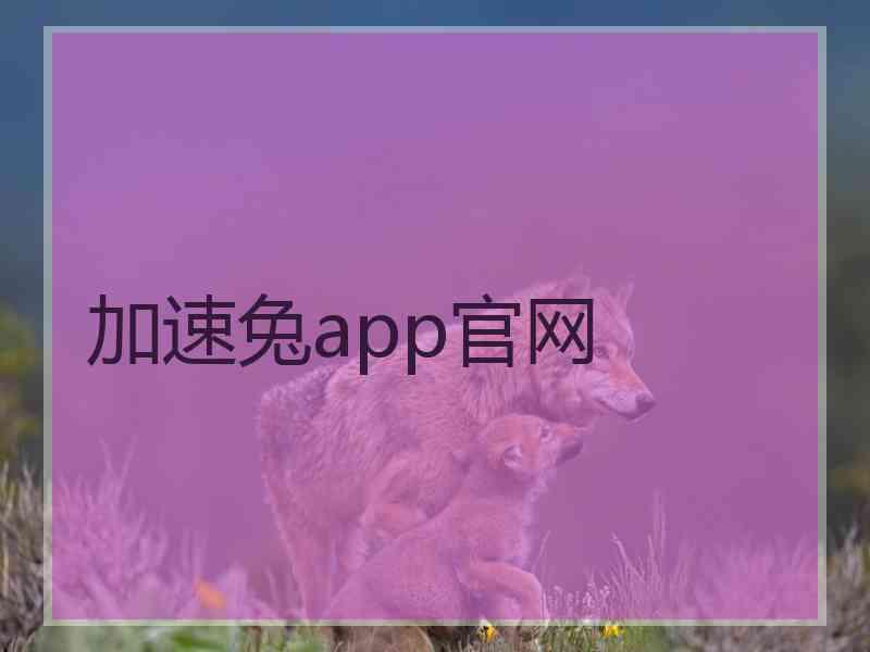 加速兔app官网