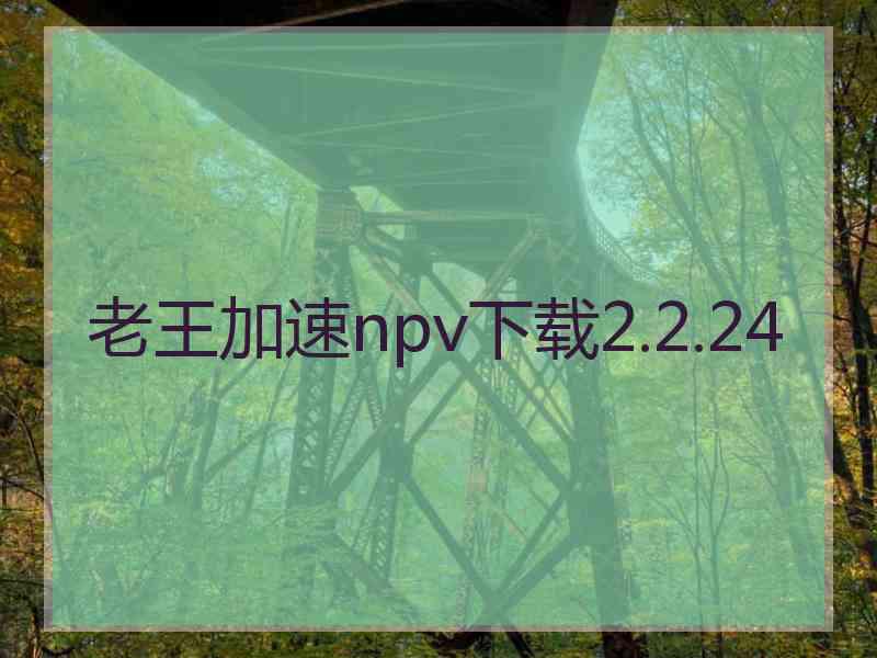 老王加速npv下载2.2.24