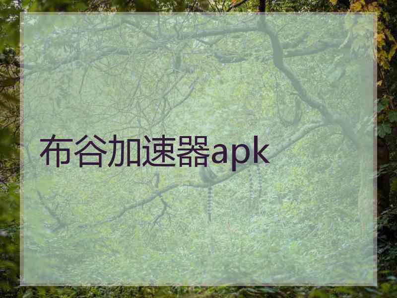 布谷加速器apk