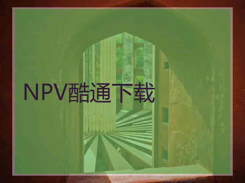 NPV酷通下载