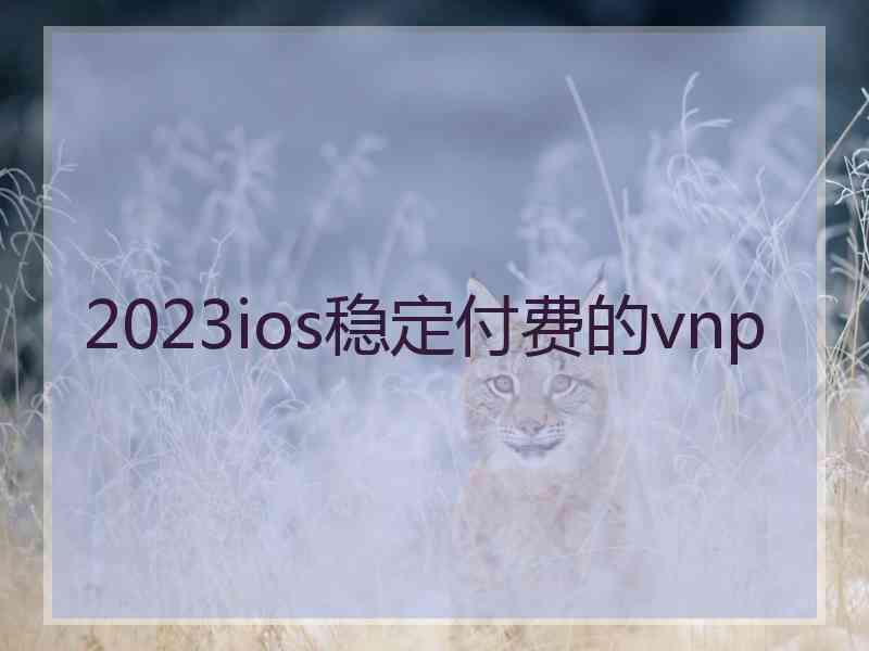 2023ios稳定付费的vnp