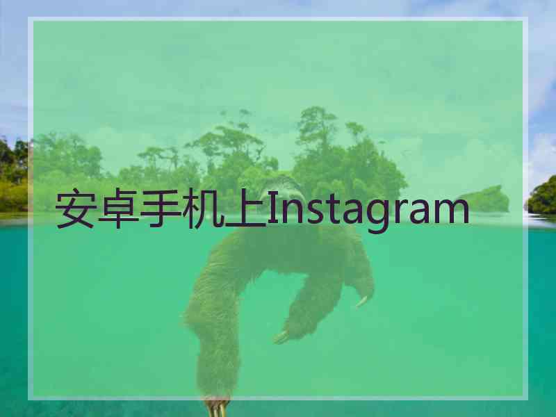 安卓手机上Instagram