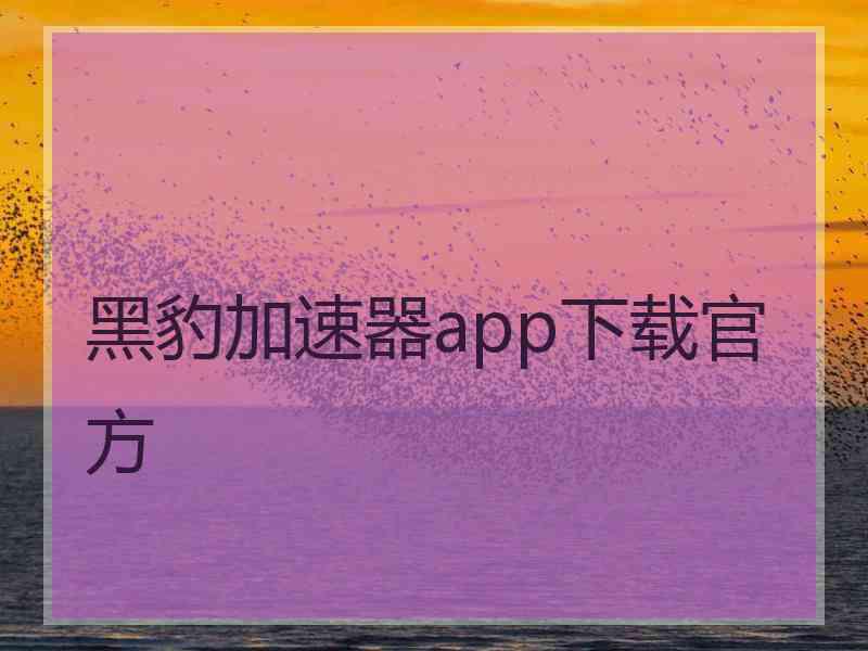 黑豹加速器app下载官方