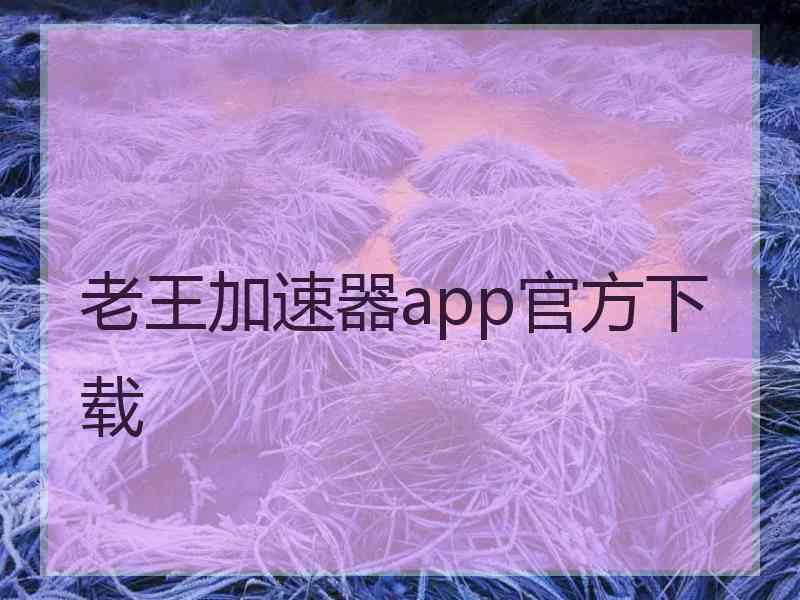 老王加速器app官方下载