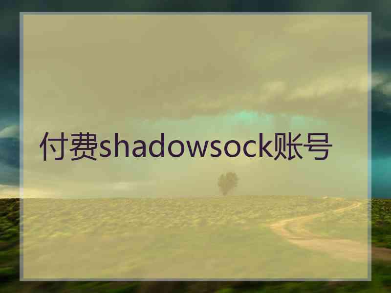 付费shadowsock账号