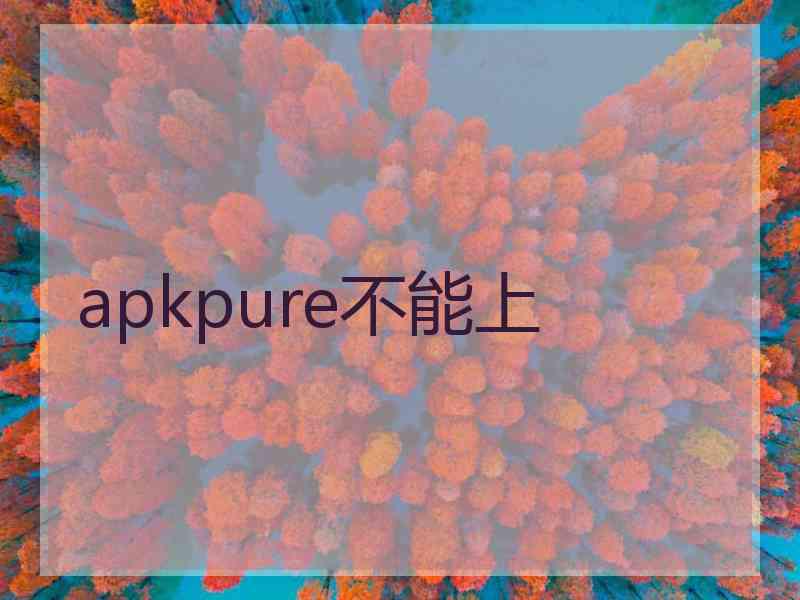 apkpure不能上