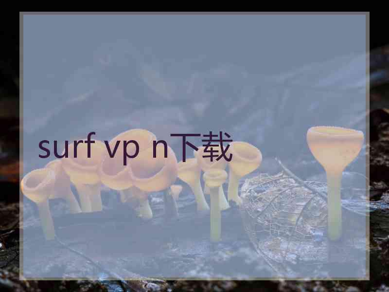 surf vp n下载