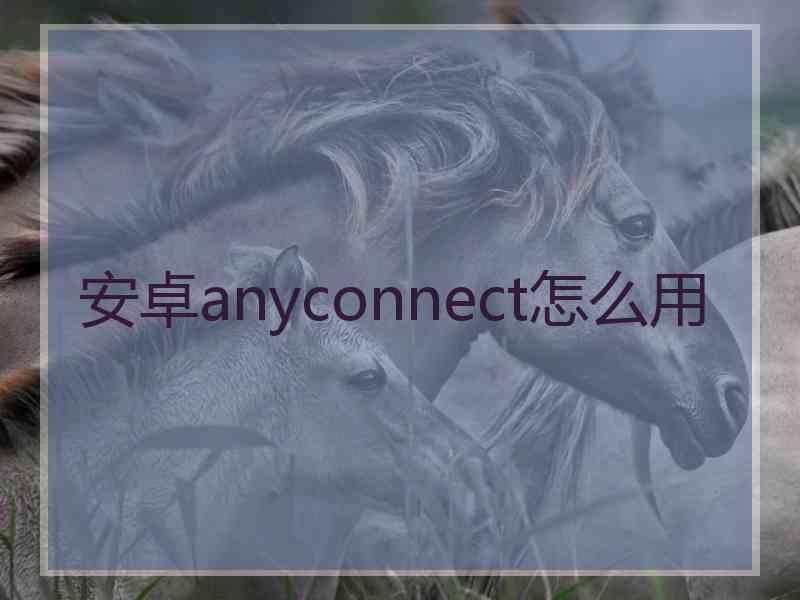 安卓anyconnect怎么用