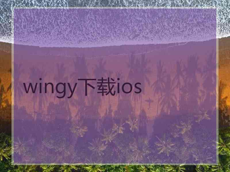 wingy下载ios