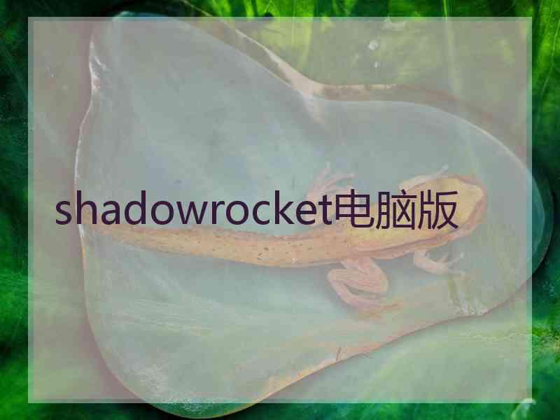 shadowrocket电脑版