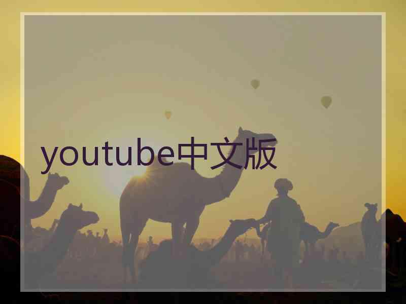 youtube中文版