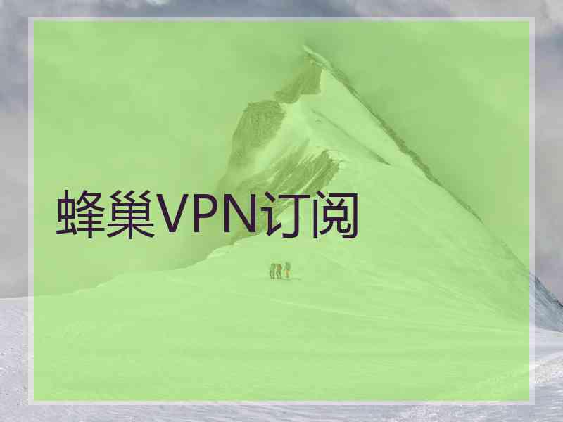 蜂巢VPN订阅