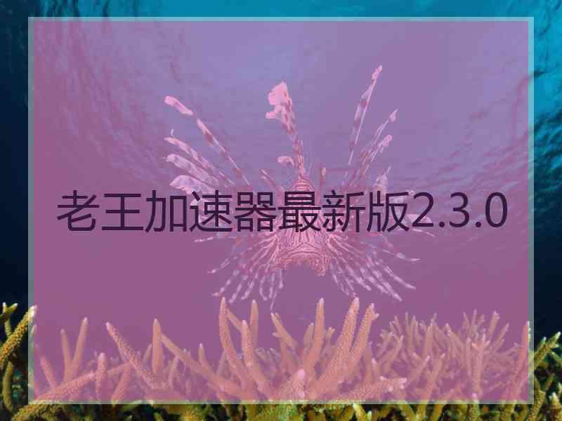 老王加速器最新版2.3.0