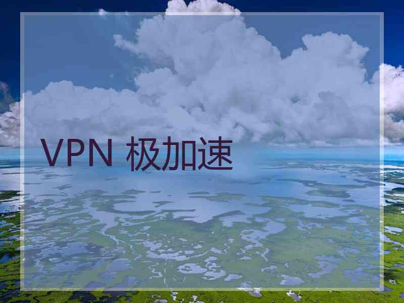 VPN 极加速