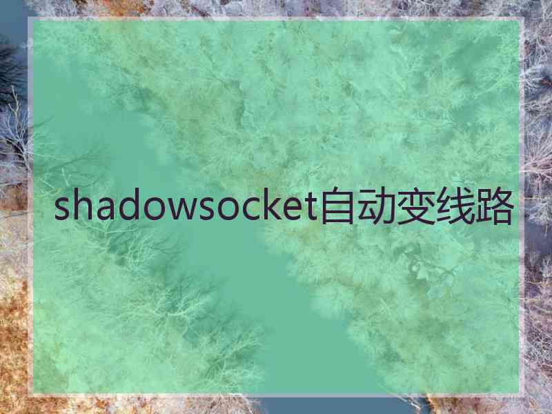 shadowsocket自动变线路