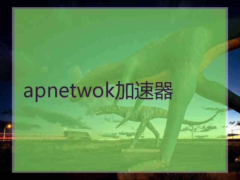 apnetwok加速器