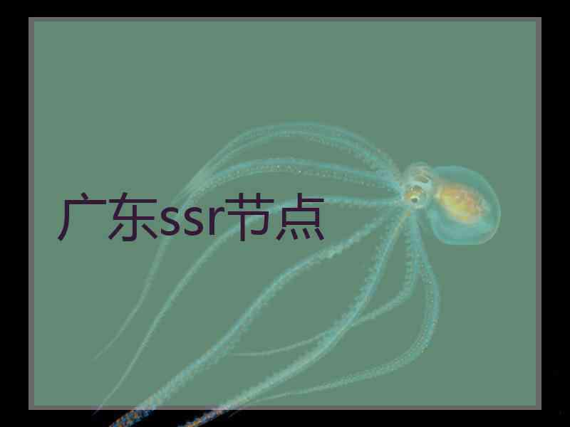 广东ssr节点