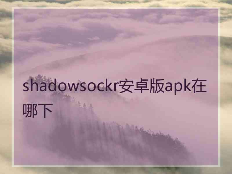 shadowsockr安卓版apk在哪下