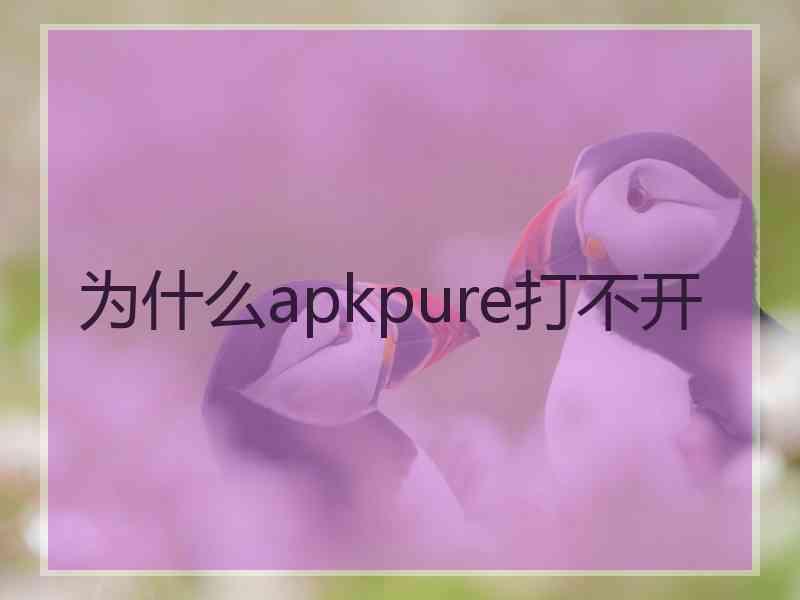 为什么apkpure打不开