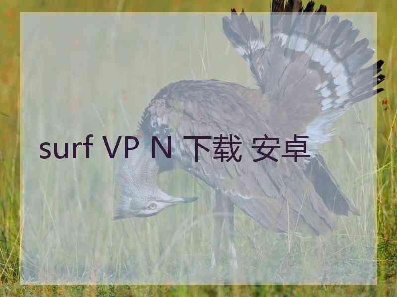 surf VP N 下载 安卓