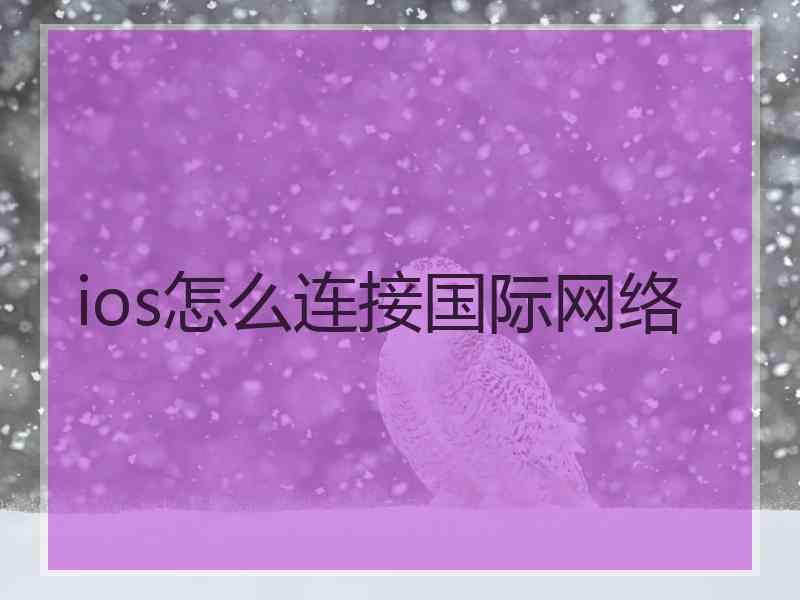 ios怎么连接国际网络