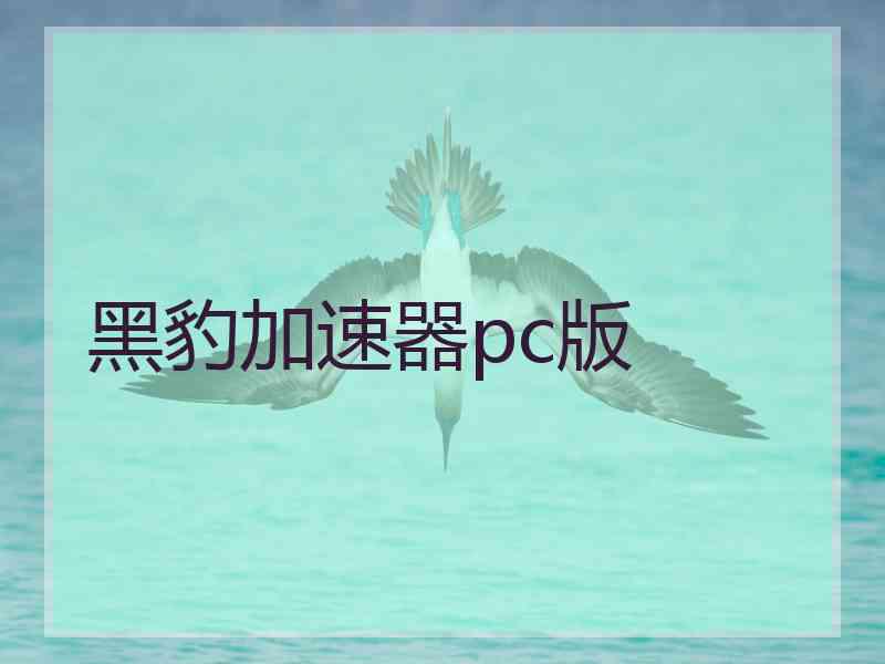 黑豹加速器pc版