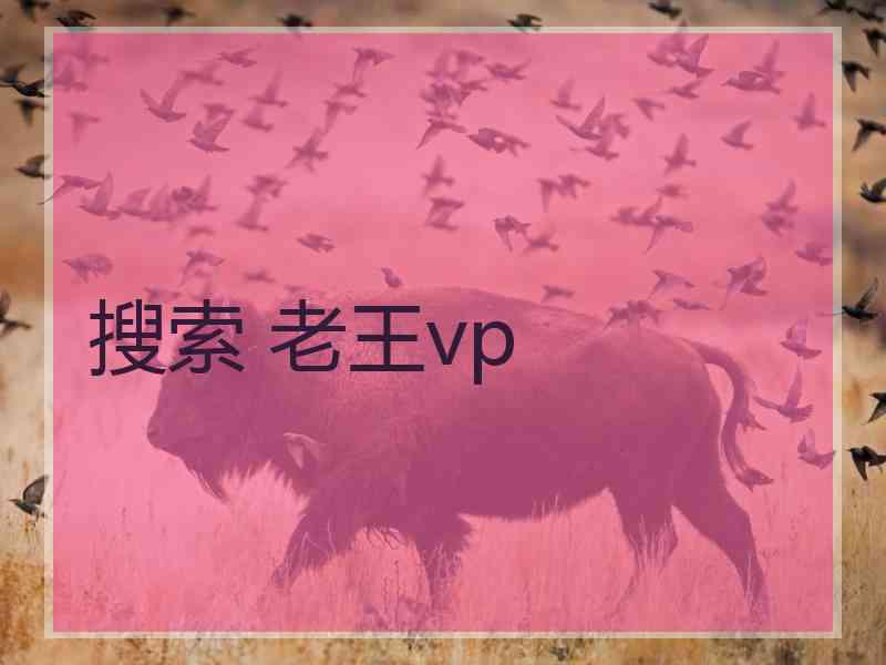 搜索 老王vp