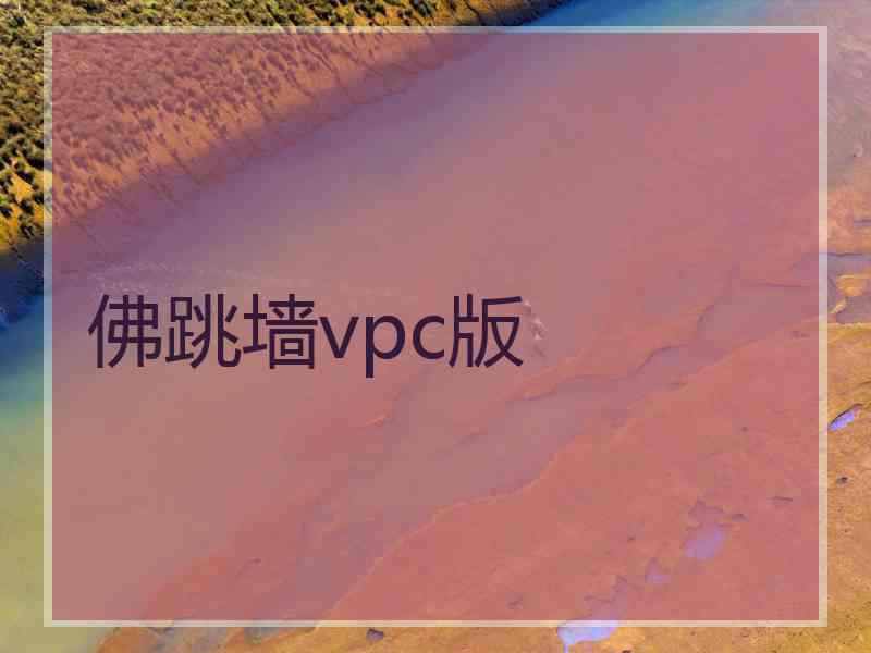 佛跳墙vpc版