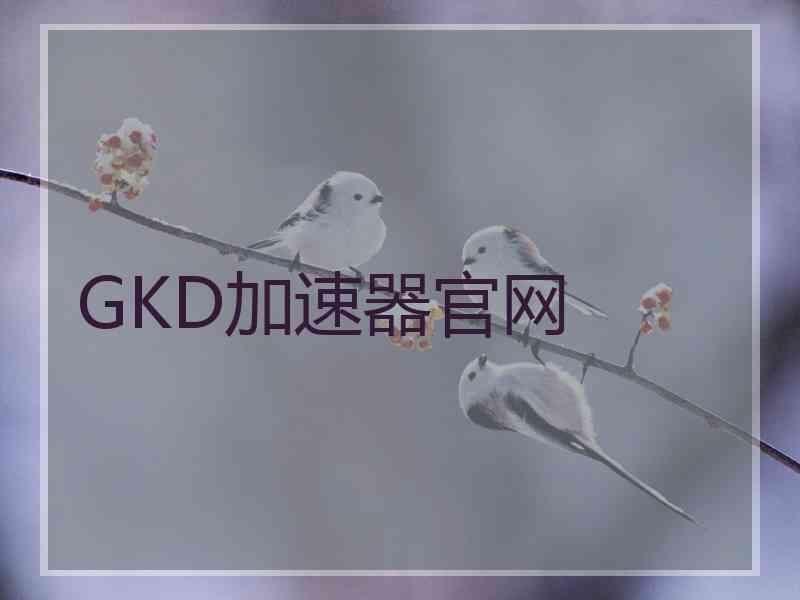 GKD加速器官网