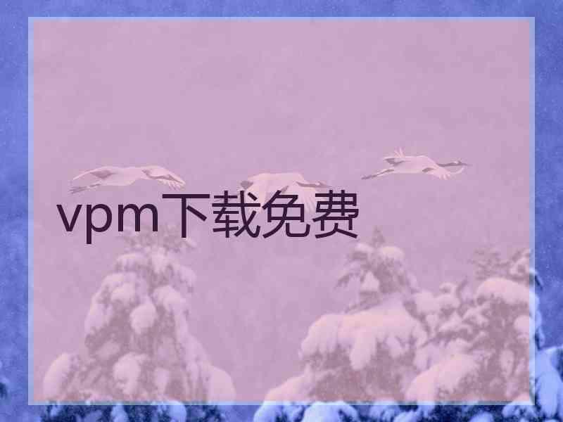 vpm下载免费