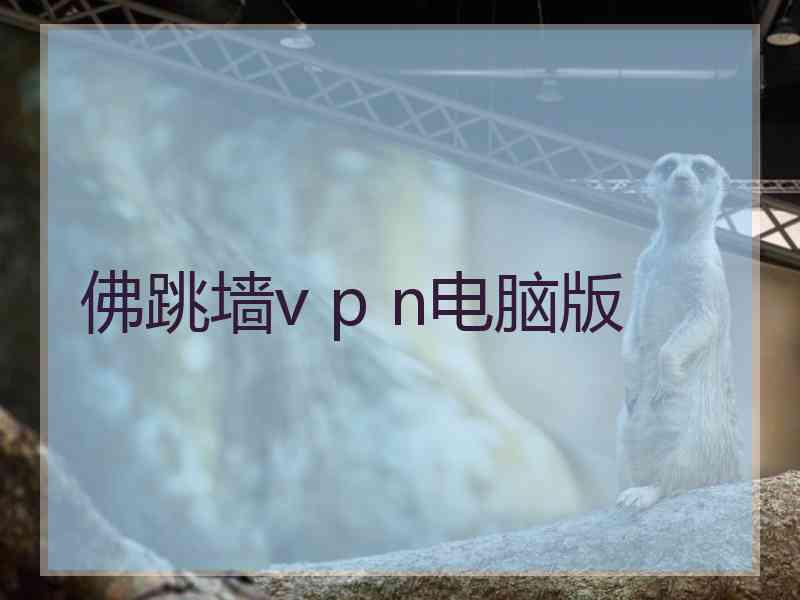 佛跳墙v p n电脑版