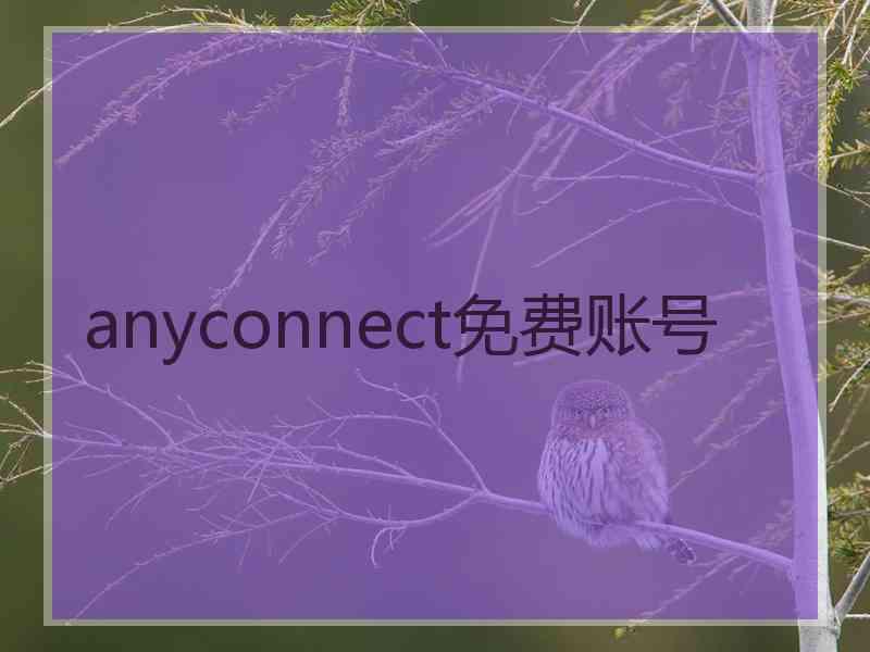 anyconnect免费账号