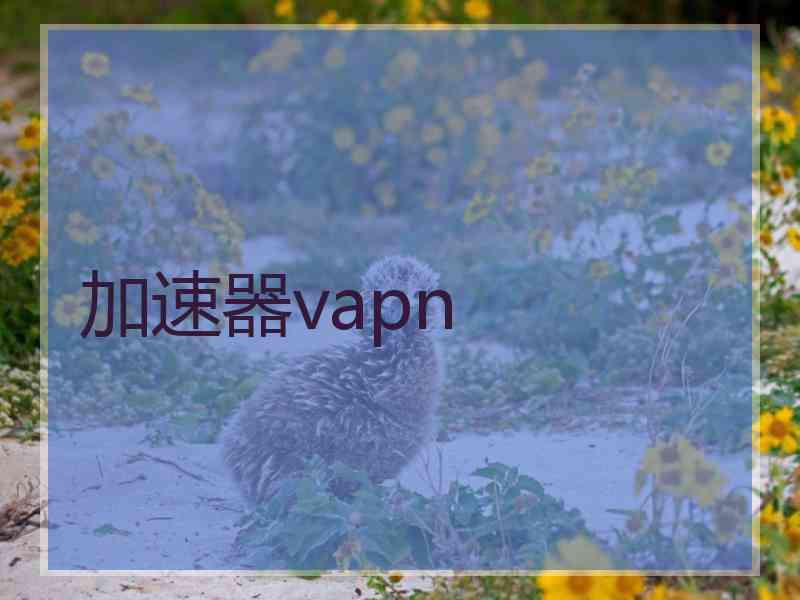 加速器vapn