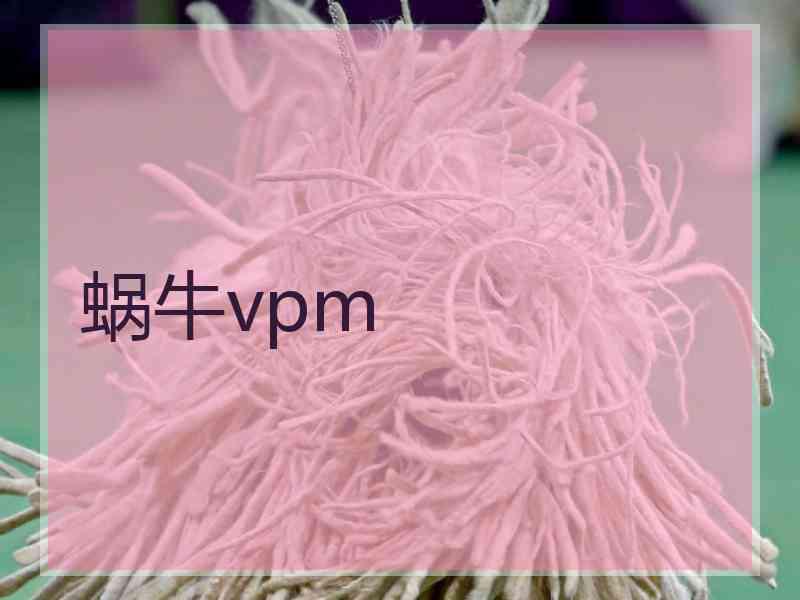 蜗牛vpm