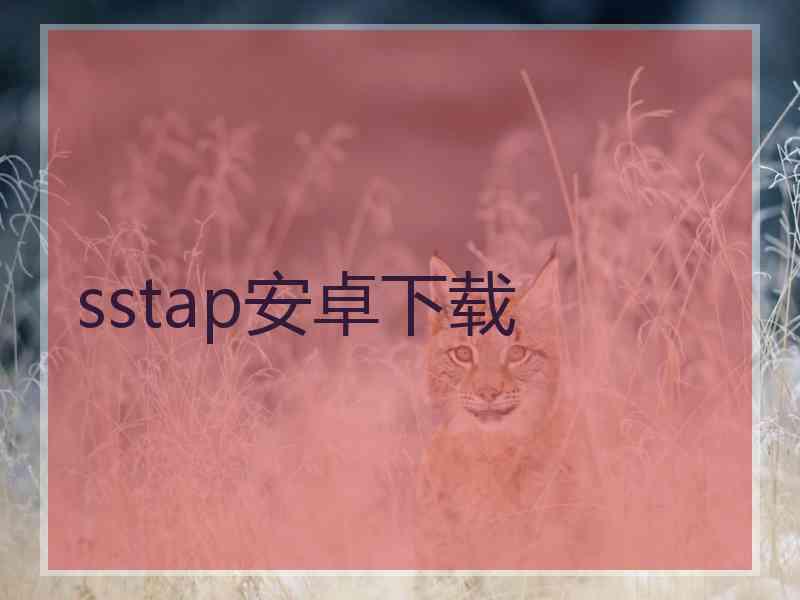 sstap安卓下载