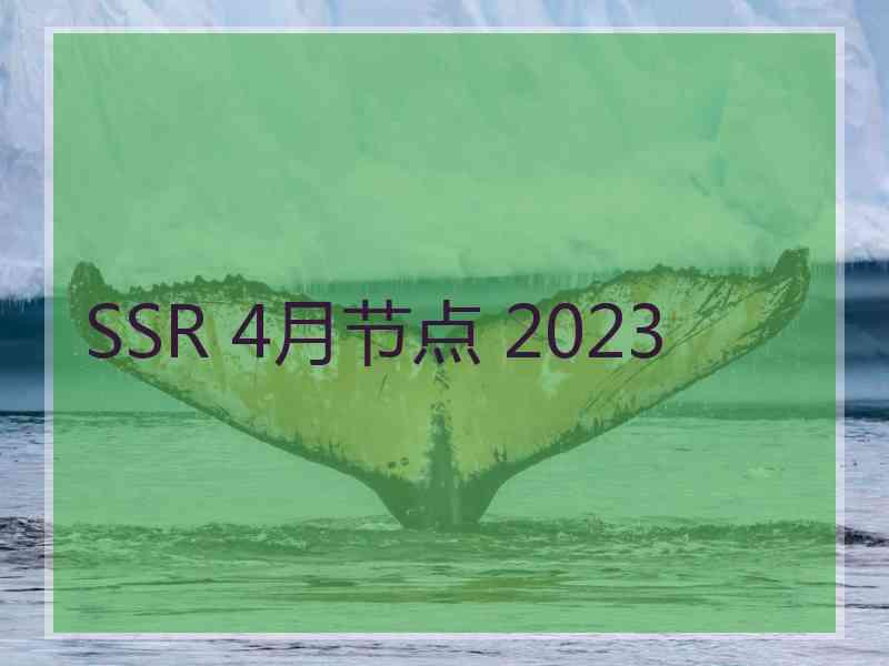 SSR 4月节点 2023