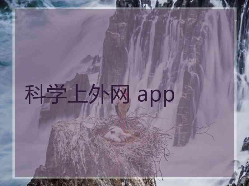 科学上外网 app