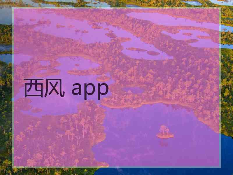 西风 app