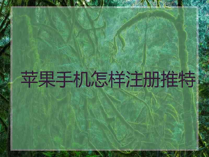 苹果手机怎样注册推特