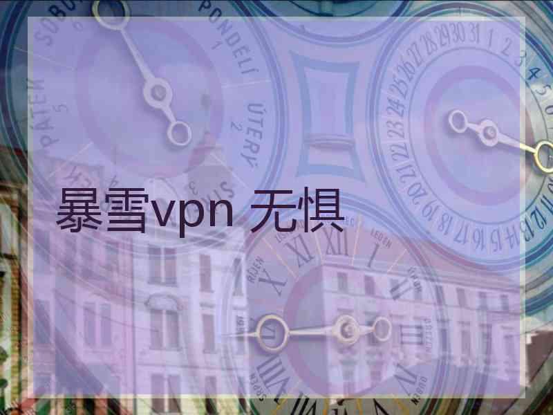 暴雪vpn 无惧