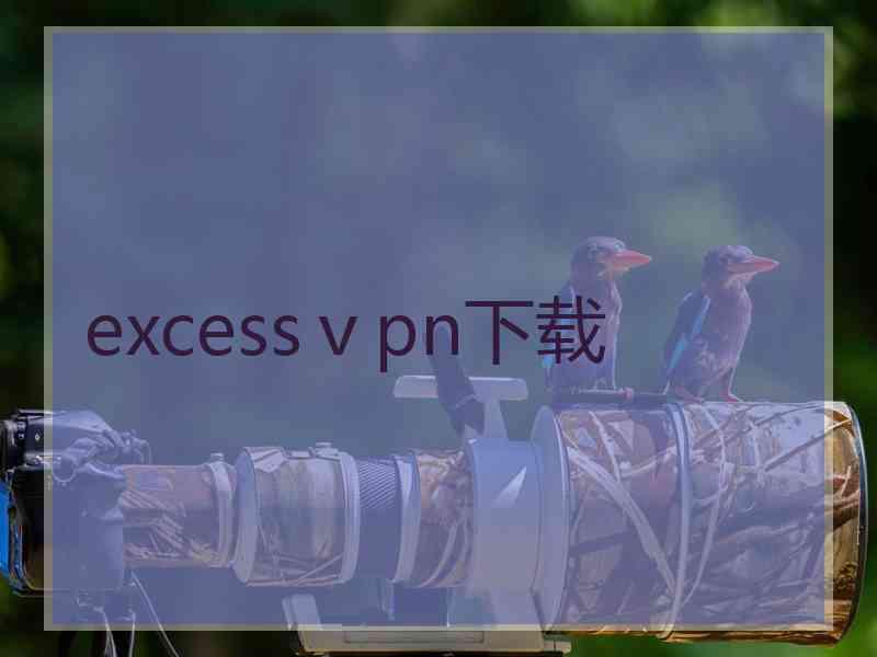 excessⅴpn下载