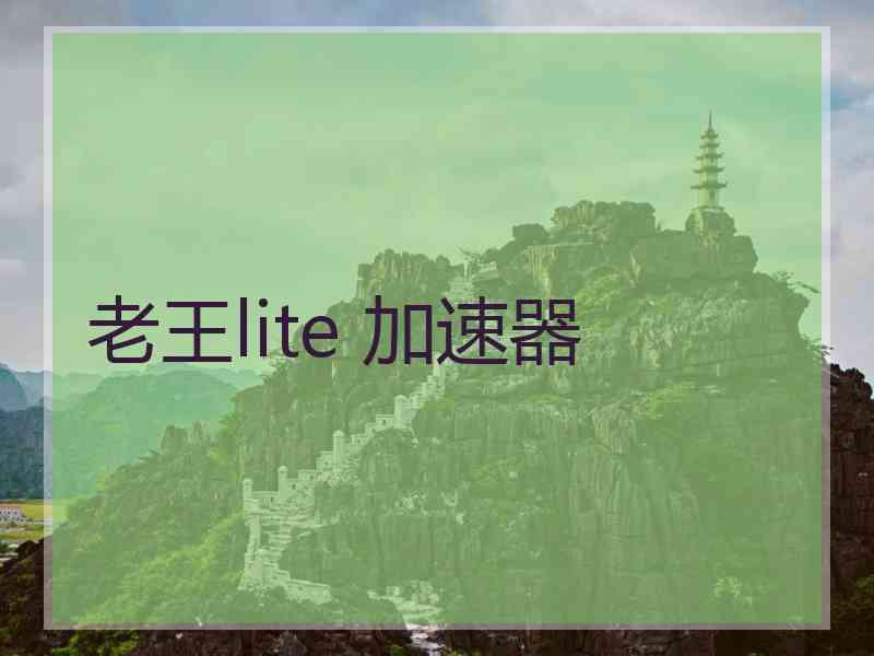 老王lite 加速器