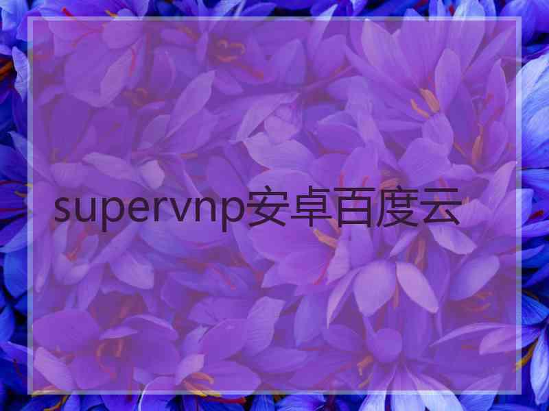 supervnp安卓百度云