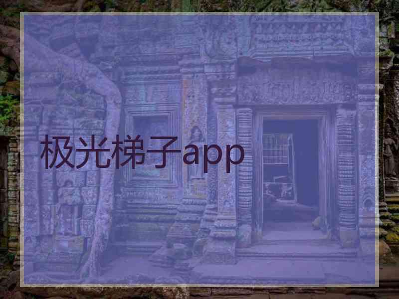 极光梯子app