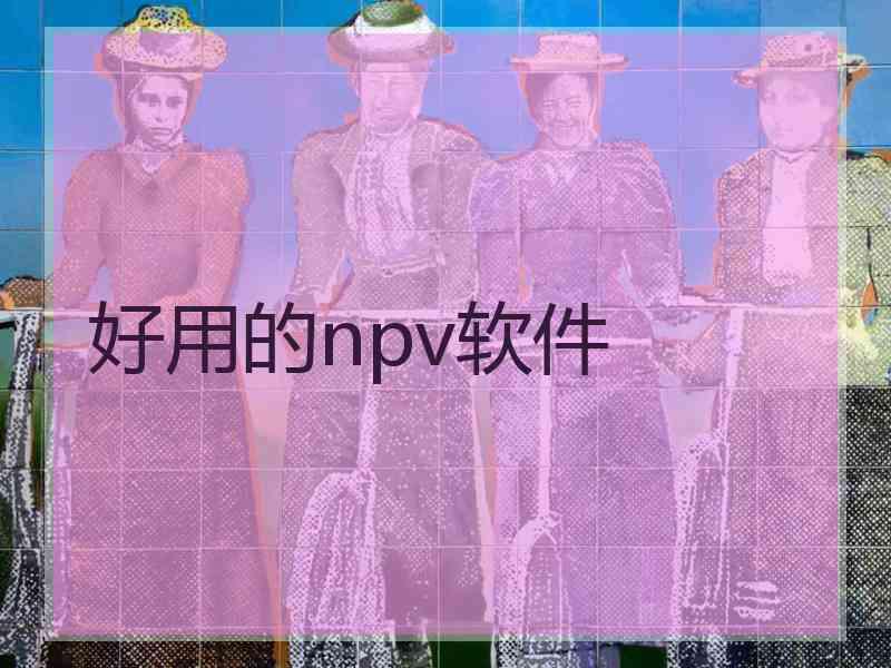 好用的npv软件