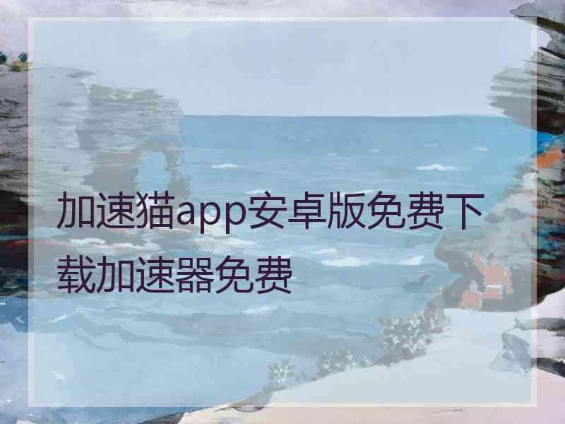 加速猫app安卓版免费下载加速器免费